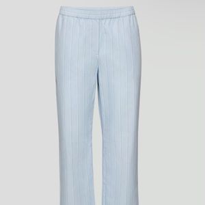 Aritzia Boardwalk Pant - Large